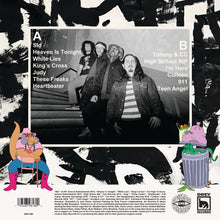 Load image into Gallery viewer, Dirty Fences - Hand-Pickled Melodies