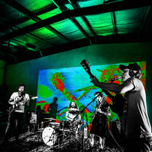 Load image into Gallery viewer, Frankie and the Witch Fingers - Levitation Sessions (Live)