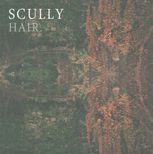 Load image into Gallery viewer, Scully - Hair 7"