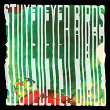 Load image into Gallery viewer, Stuyedeyed / BIRDS Split 7"