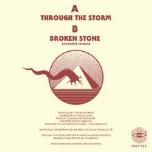 Load image into Gallery viewer, Stonefield - Through The Storm