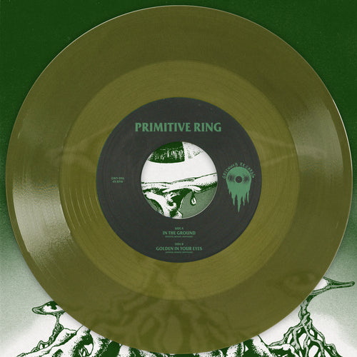 Primitive Ring - In The Ground 7